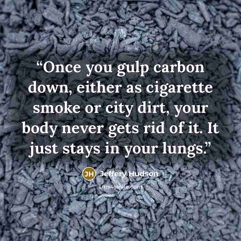 “Once you gulp carbon down, either as cigarette smoke or city dirt, your body never gets rid of it. It just stays in your lungs.” quote by Jeffery Hudson