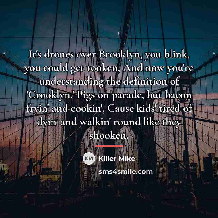“It's drones over Brooklyn, you blink, you could get tooken,…” quote by Killer Mike