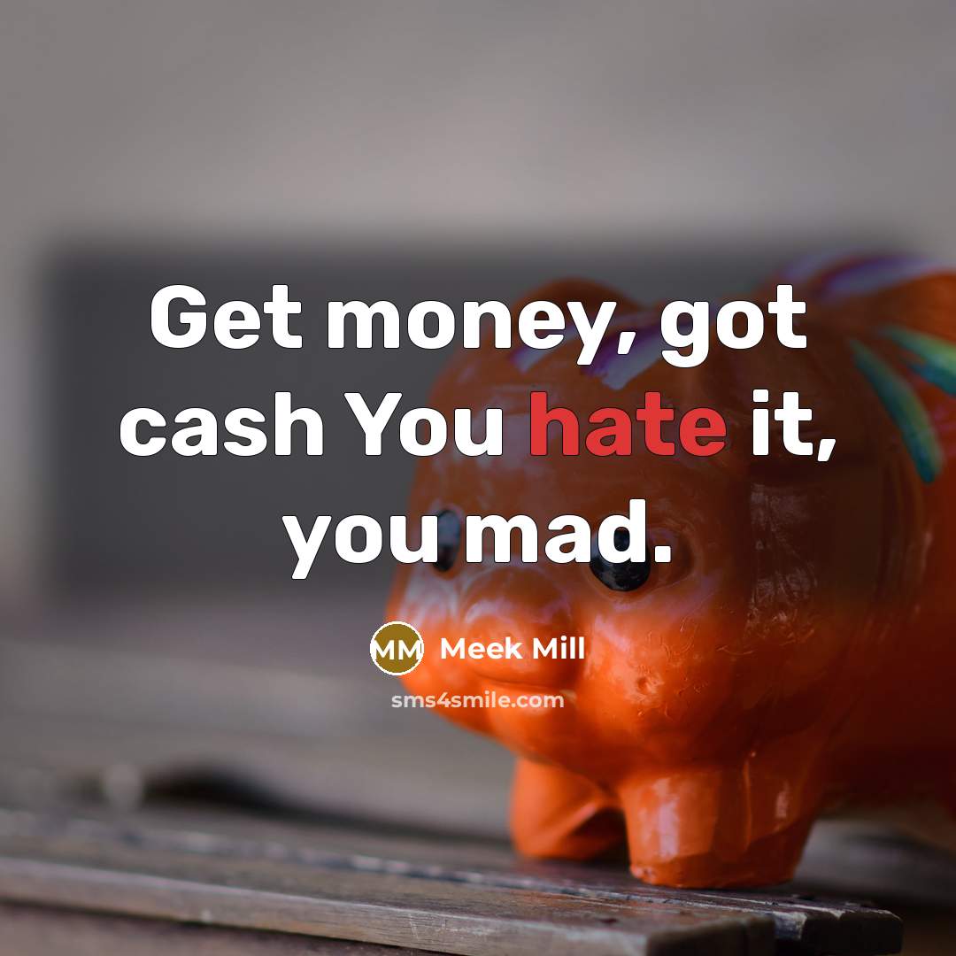 “Get money, got cash You hate it, you mad.” quote by Meek Mill