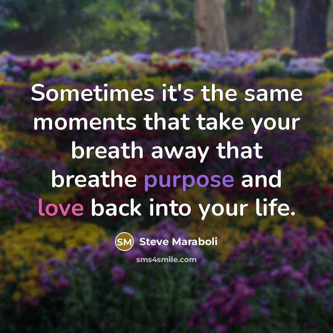 “Sometimes it's the same moments that take your breath away that breathe purpose and love back into your life.” quote by Steve Maraboli