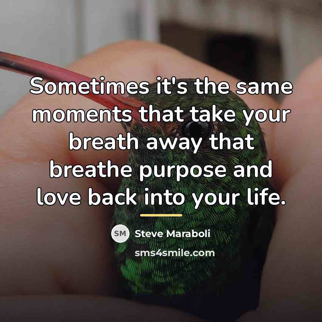 “Sometimes it's the same moments that take your breath away…” quote by Steve Maraboli