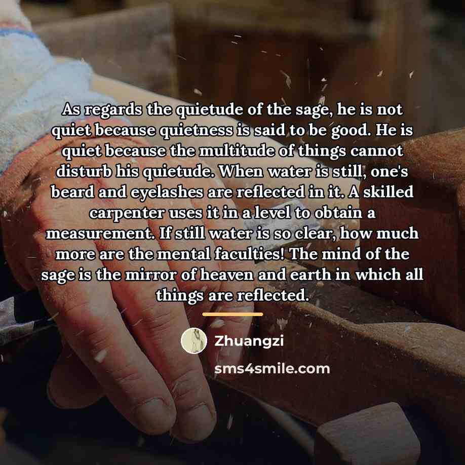 “As regards the quietude of the sage, he is not…” quote by Zhuangzi