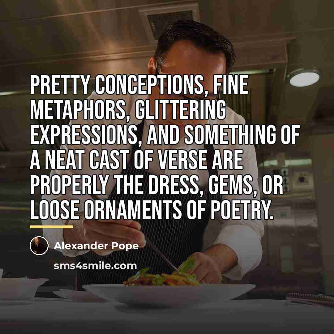 “Pretty conceptions, fine metaphors, glittering expressions, and something of a…” quote by Alexander Pope