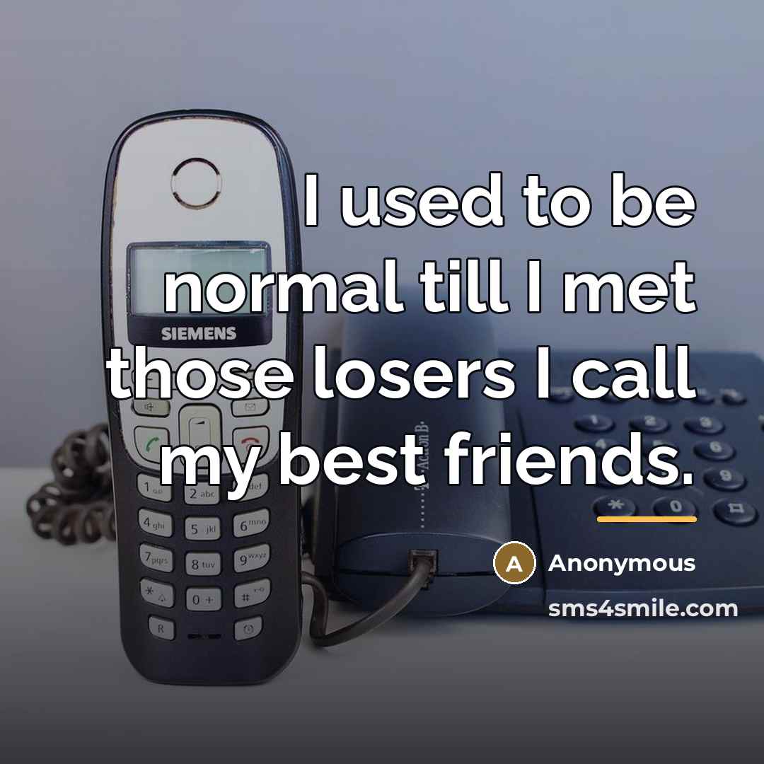“I used to be normal till I met those losers…” quote by Anonymous