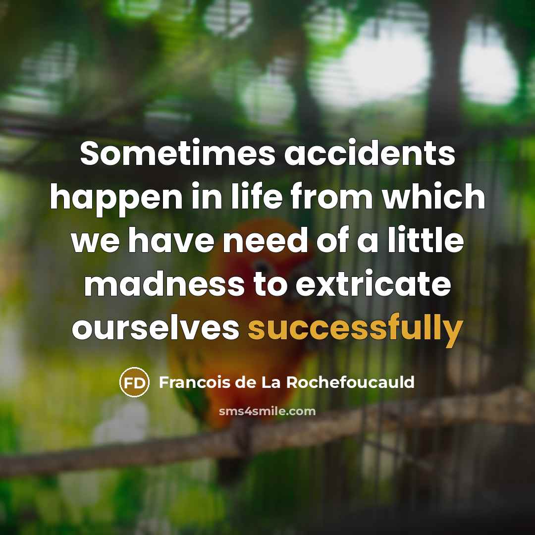 “Sometimes accidents happen in life from which we have need…” quote by Francois de La Rochefoucauld