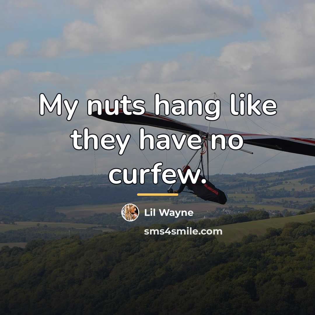 “My nuts hang like they have no curfew.…” quote by Lil Wayne