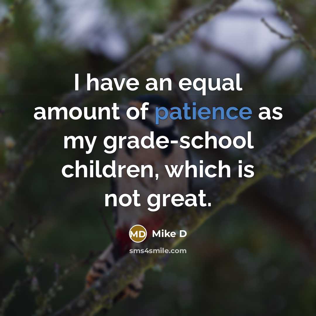 “I have an equal amount of patience as my grade-school…” quote by Mike D