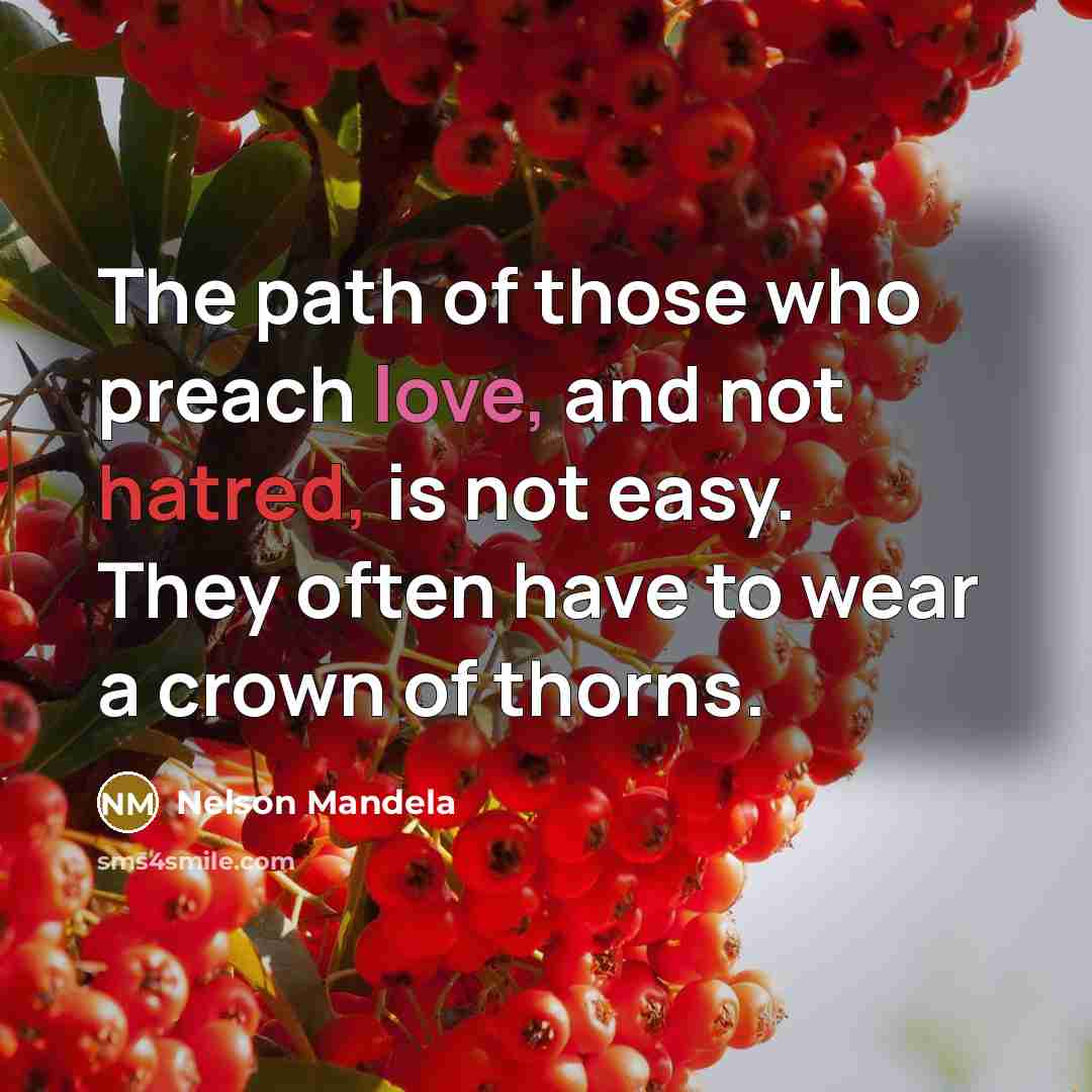 “The path of those who preach love, and not hatred,…” quote by Nelson Mandela