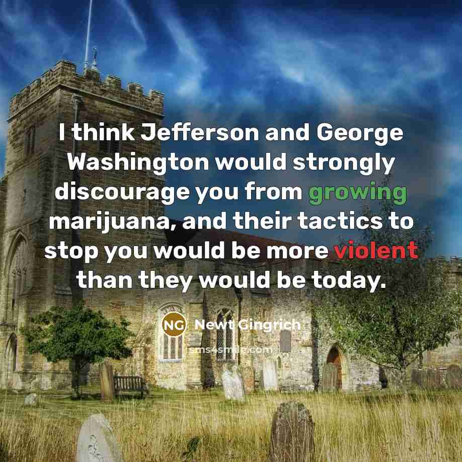 “I think Jefferson and George Washington would strongly discourage you…” quote by Newt Gingrich
