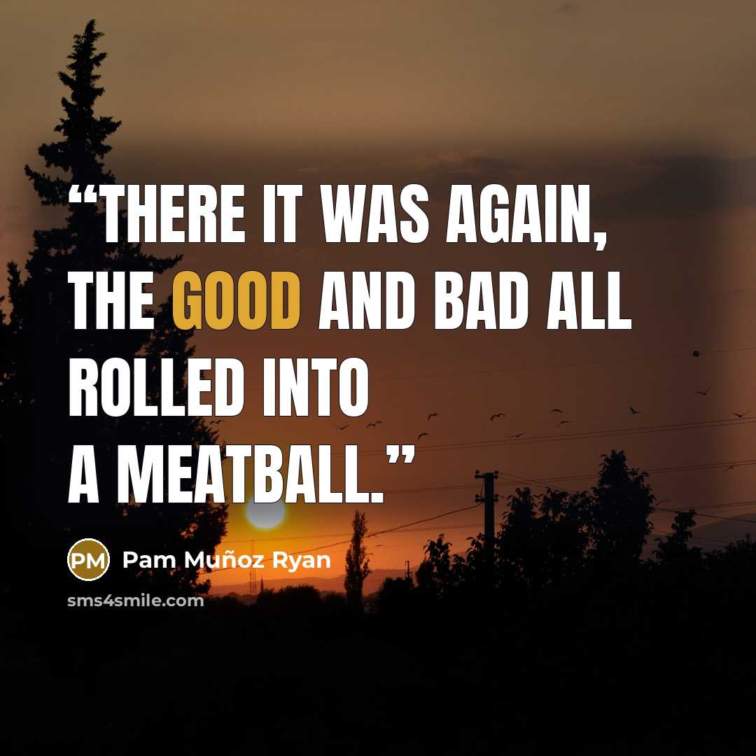 “There it was again, the good and bad all rolled into a meatball.” quote by Pam Muñoz Ryan
