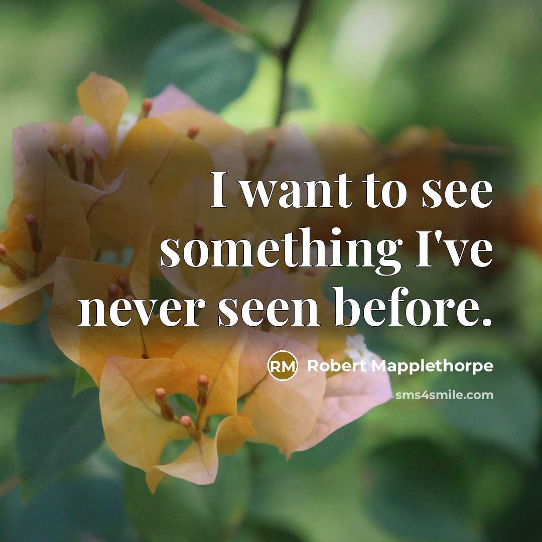 “I want to see something I've never seen before.…” quote by Robert Mapplethorpe