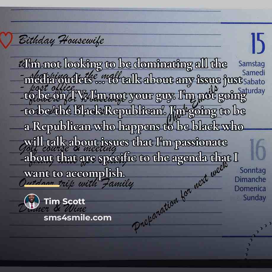 “I'm not looking to be dominating all the media outlets…” quote by Tim Scott
