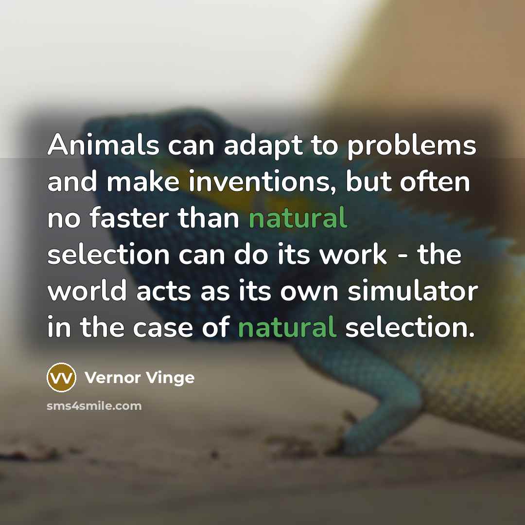 “Animals can adapt to problems and make inventions, but often no faster than natural selection can do its work - the world acts as its own simulator in the case of natural selection.” quote by Vernor Vinge