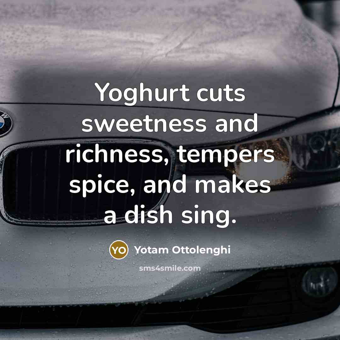 “Yoghurt cuts sweetness and richness, tempers spice, and makes a…” quote by Yotam Ottolenghi