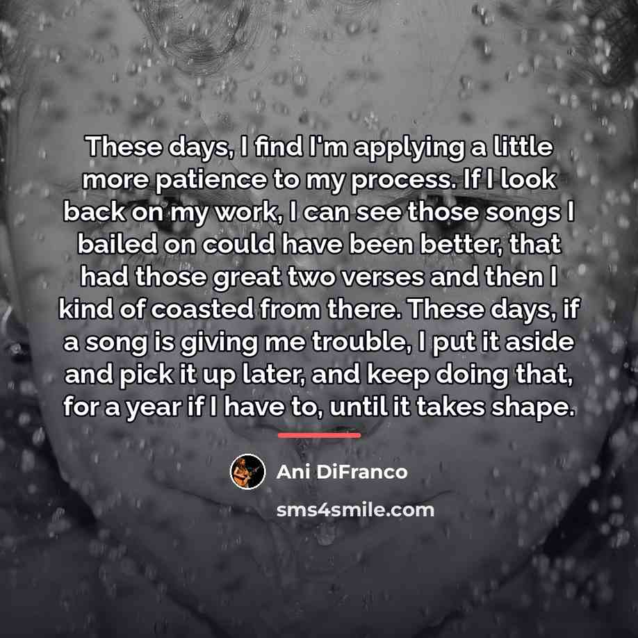 “These days, I find I'm applying a little more patience…” quote by Ani DiFranco