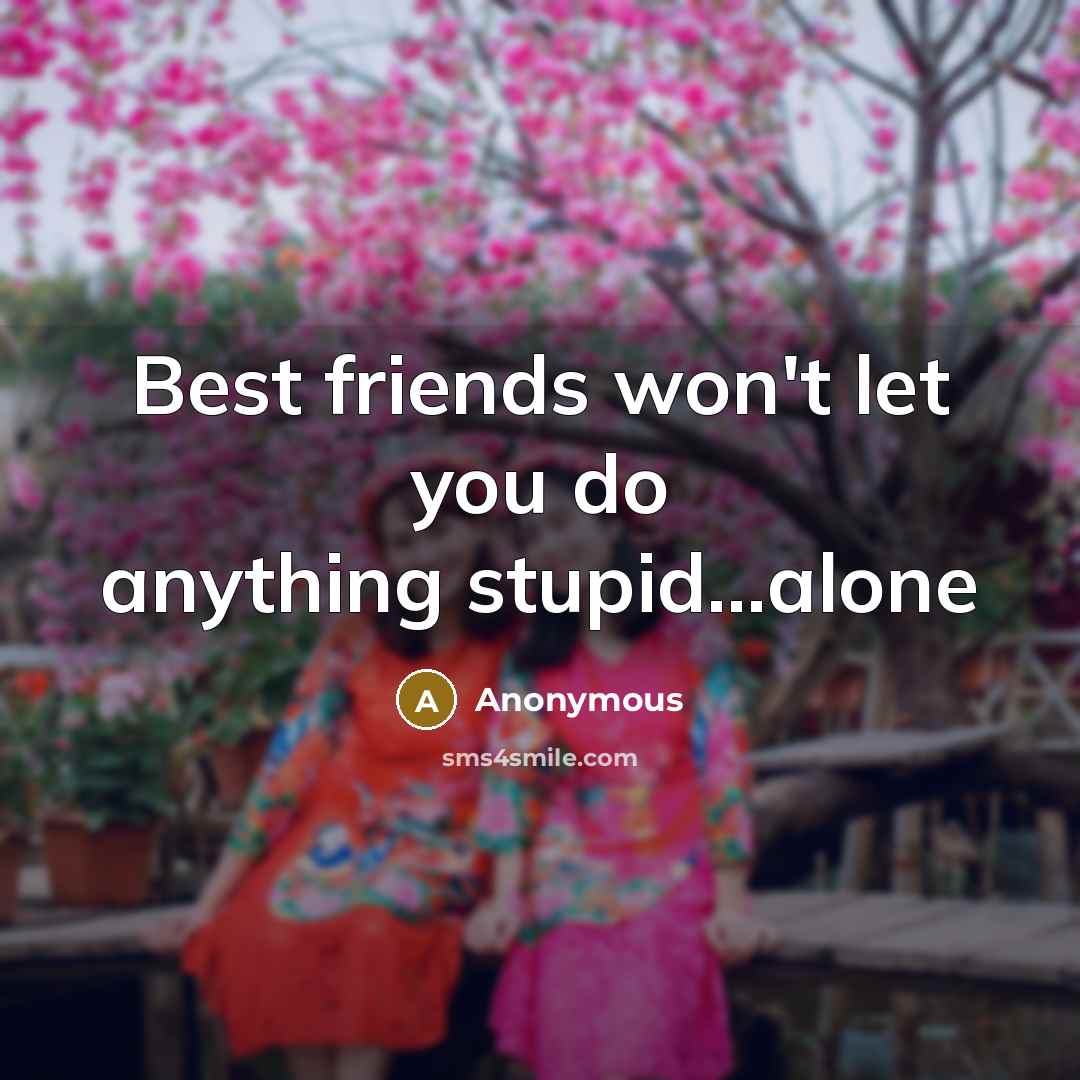 “Best friends won't let you do anything stupid...alone…” quote by Anonymous