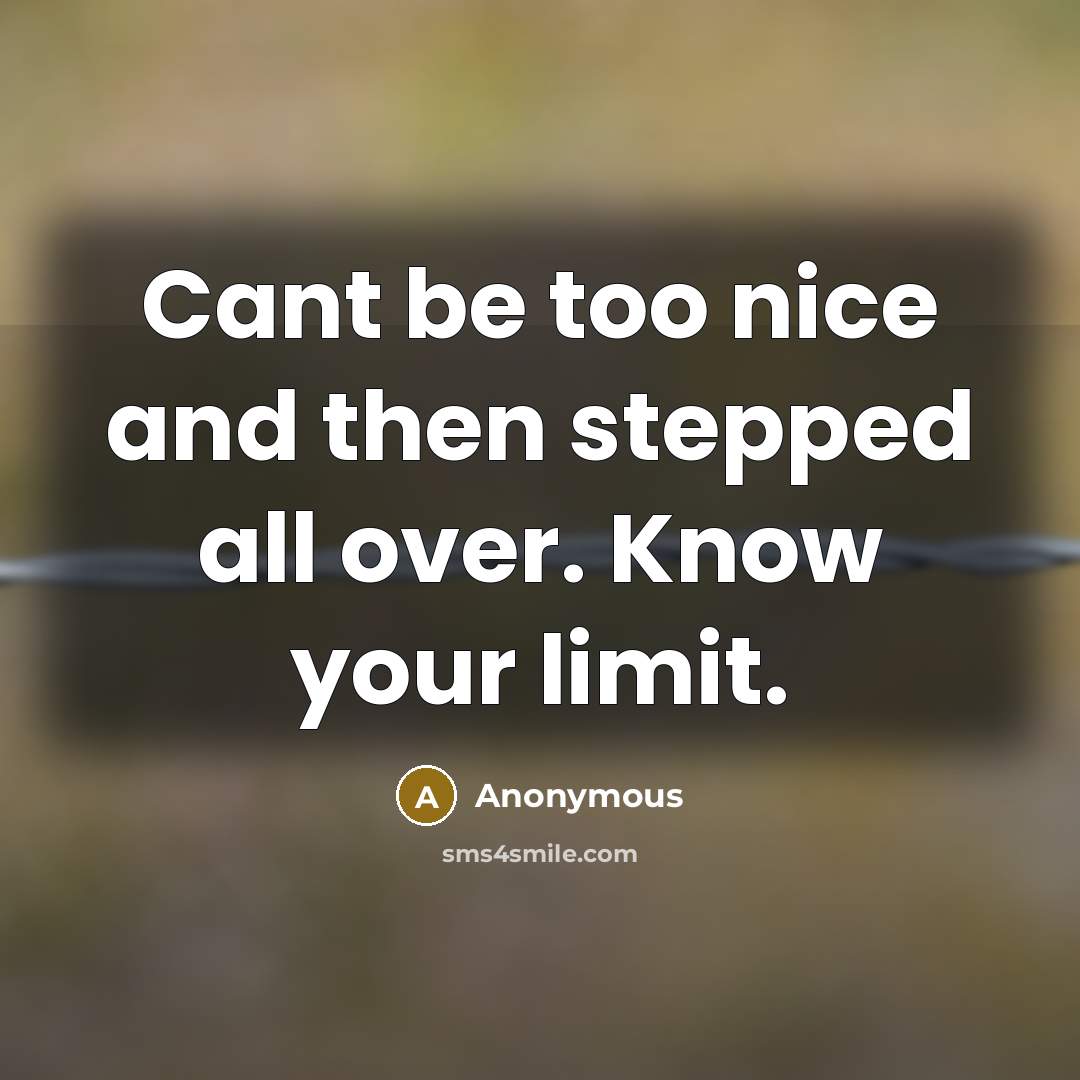 “Cant be too nice and then stepped all over. Know your limit.” quote by Anonymous