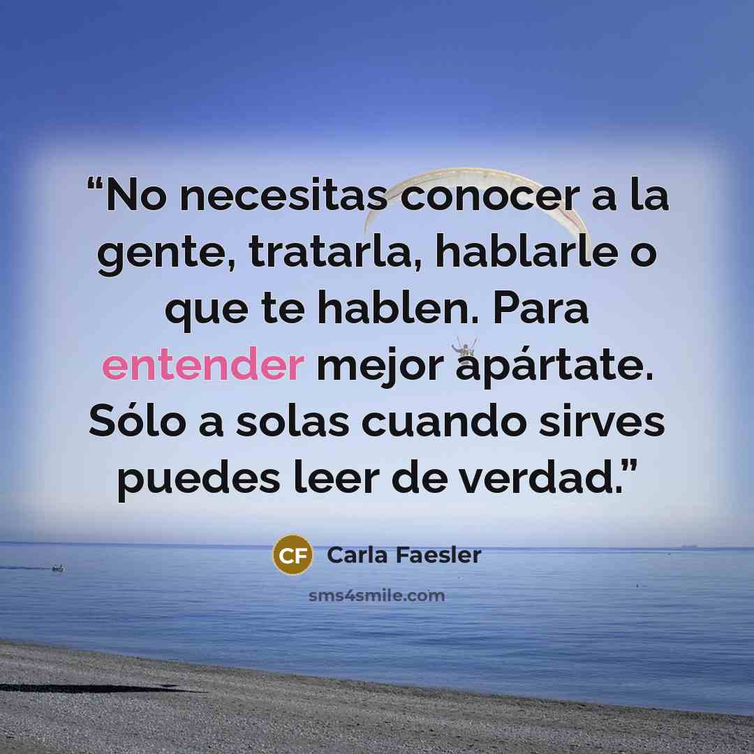 “No necesitas conocer a la gente, tratarla, hablarle o que te hablen. Para entender mejor apártate. Sólo a solas cuando sirves puedes leer de verdad.” quote by Carla Faesler