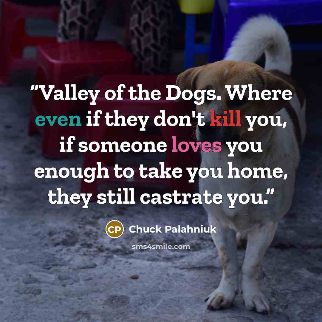 “Valley of the Dogs. Where even if they don't kill you, if someone loves you enough to take you home, they still castrate you.” quote by Chuck Palahniuk