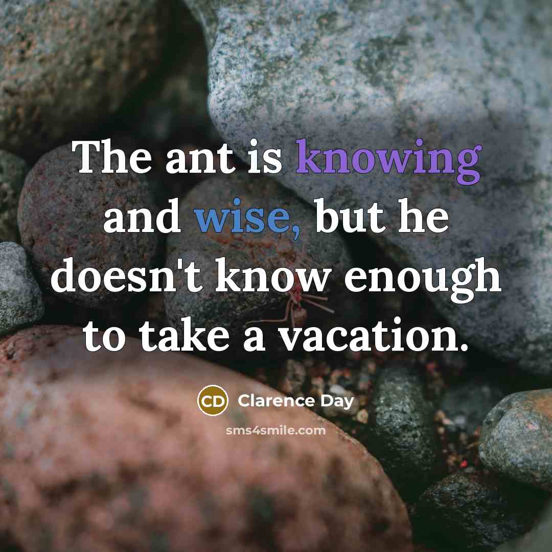 “The ant is knowing and wise, but he doesn't know…” quote by Clarence Day