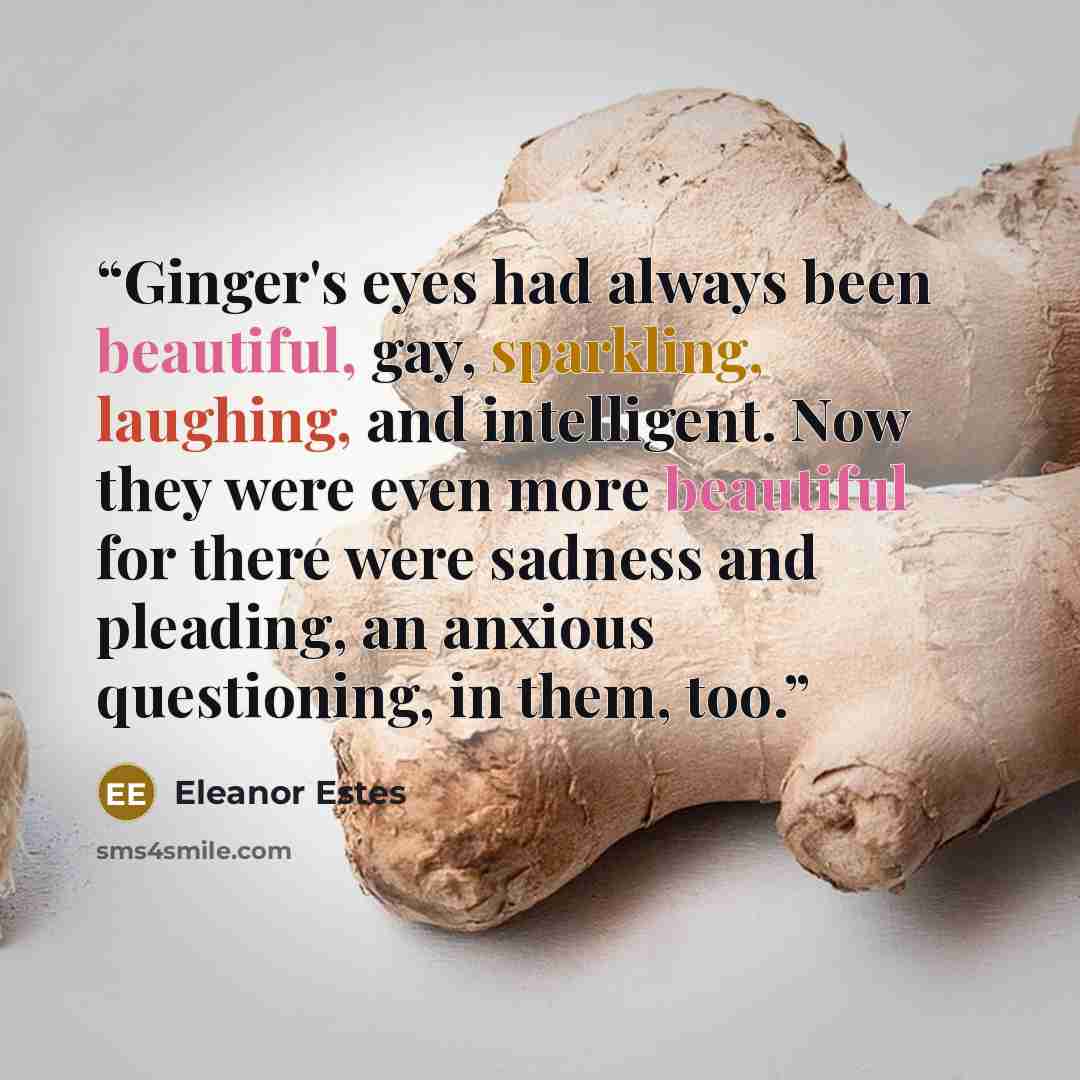 “Ginger's eyes had always been beautiful, gay, sparkling, laughing, and intelligent. Now they were even more beautiful for there were sadness and pleading, an anxious questioning, in them, too.” quote by Eleanor Estes