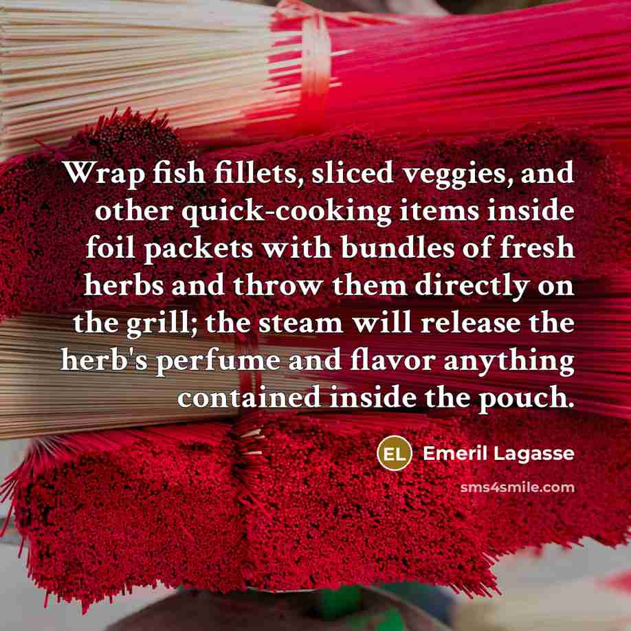 “Wrap fish fillets, sliced veggies, and other quick-cooking items inside…” quote by Emeril Lagasse