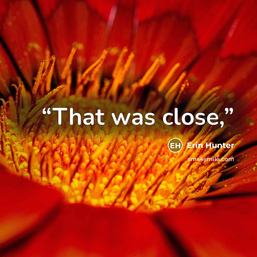 “That was close,” quote by Erin Hunter