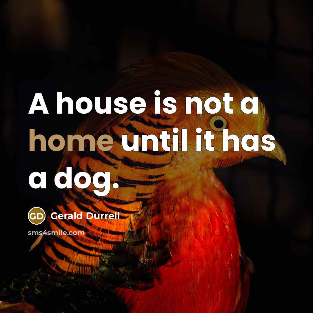 “A house is not a home until it has a dog.” quote by Gerald Durrell