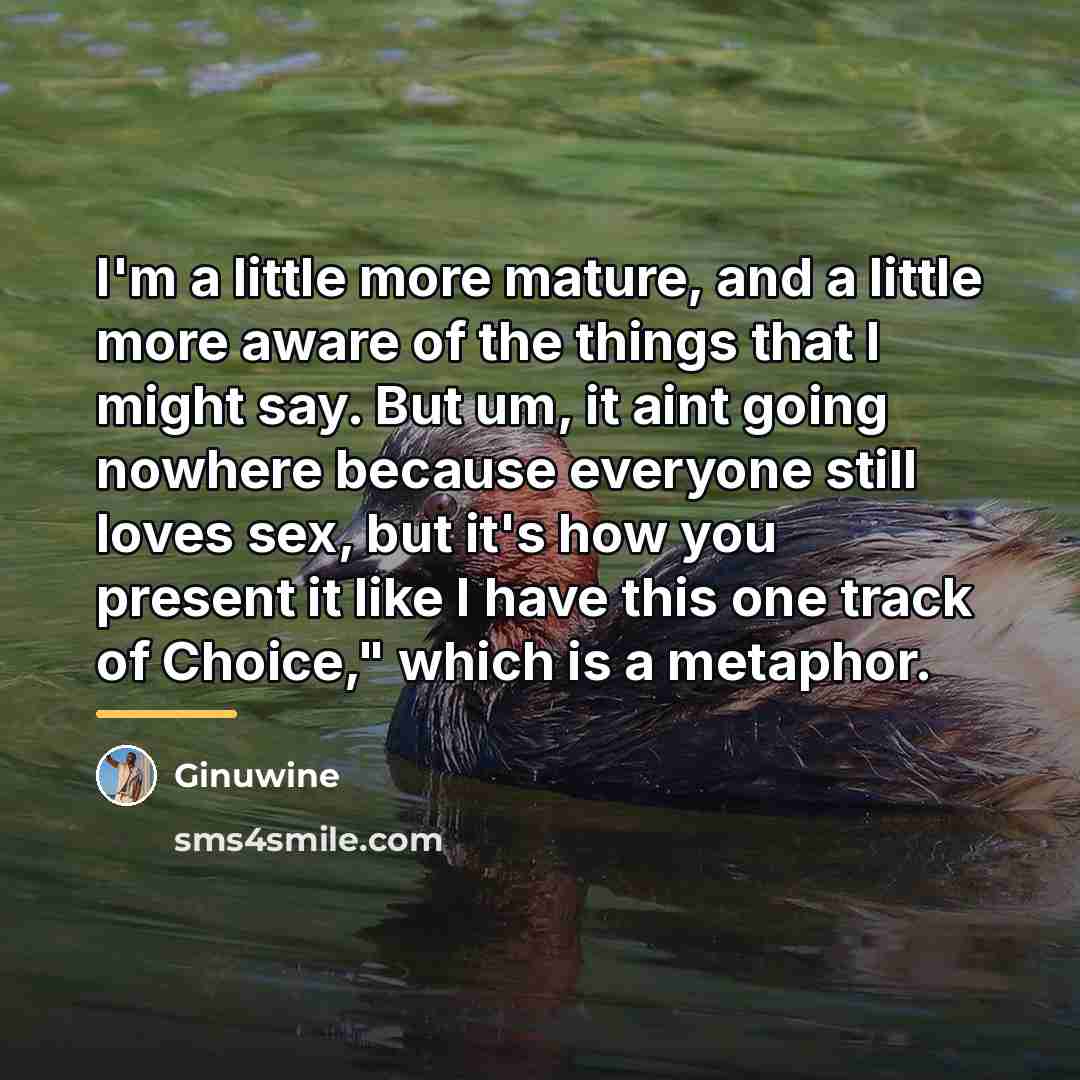 “I'm a little more mature, and a little more aware…” quote by Ginuwine