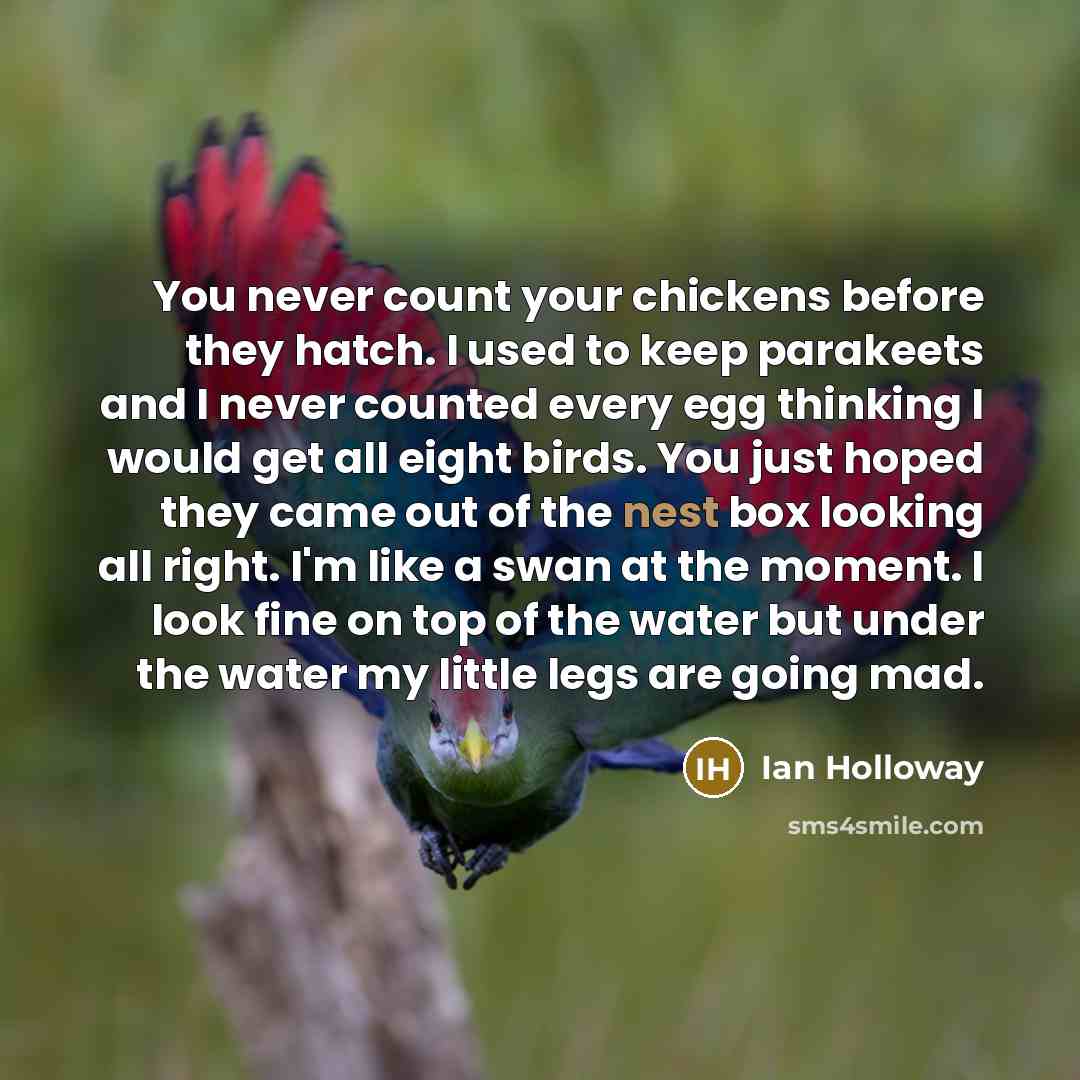 “You never count your chickens before they hatch. I used…” quote by Ian Holloway