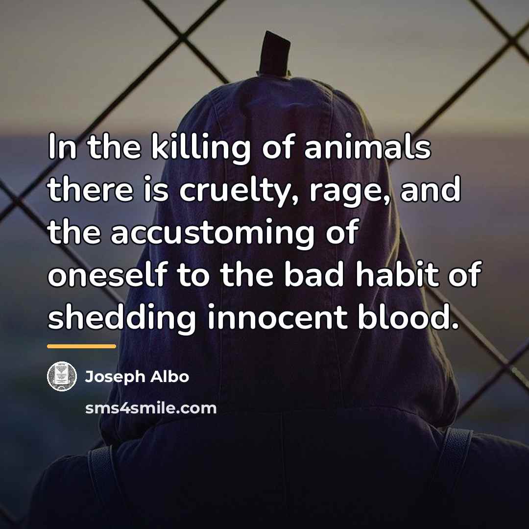 “In the killing of animals there is cruelty, rage, and…” quote by Joseph Albo