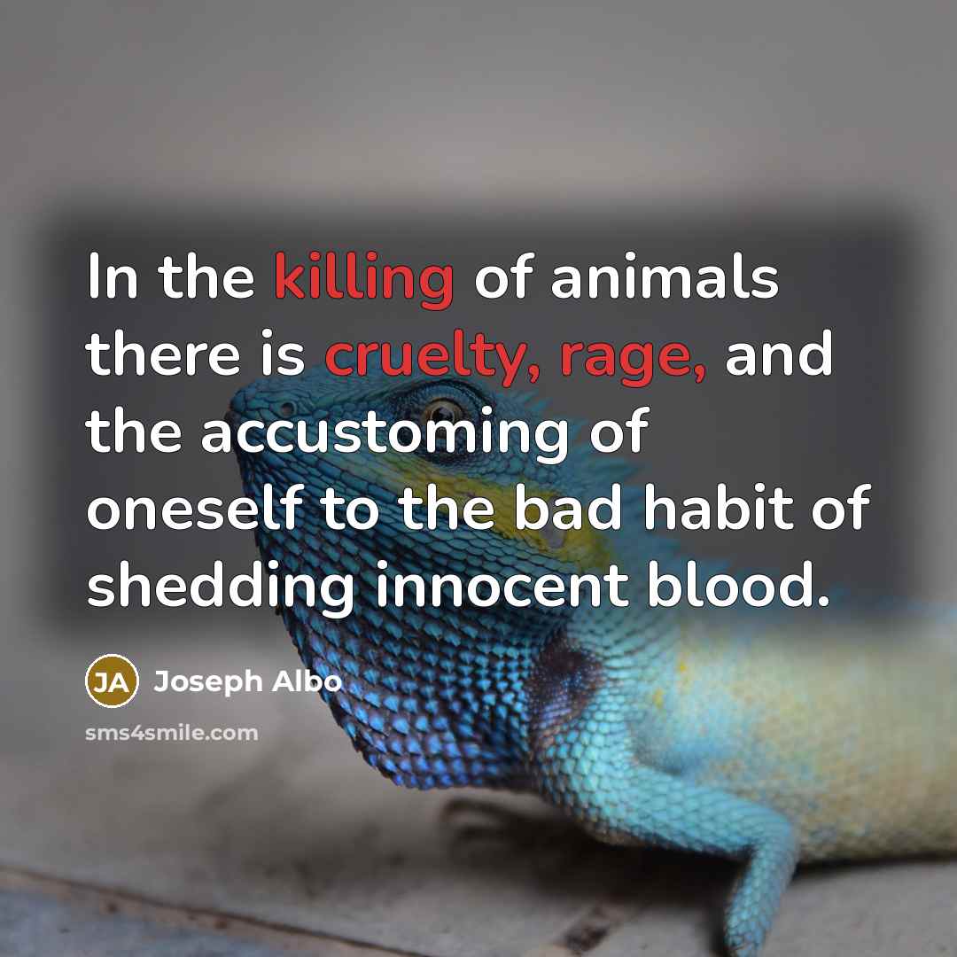 “In the killing of animals there is cruelty, rage, and the accustoming of oneself to the bad habit of shedding innocent blood.” quote by Joseph Albo