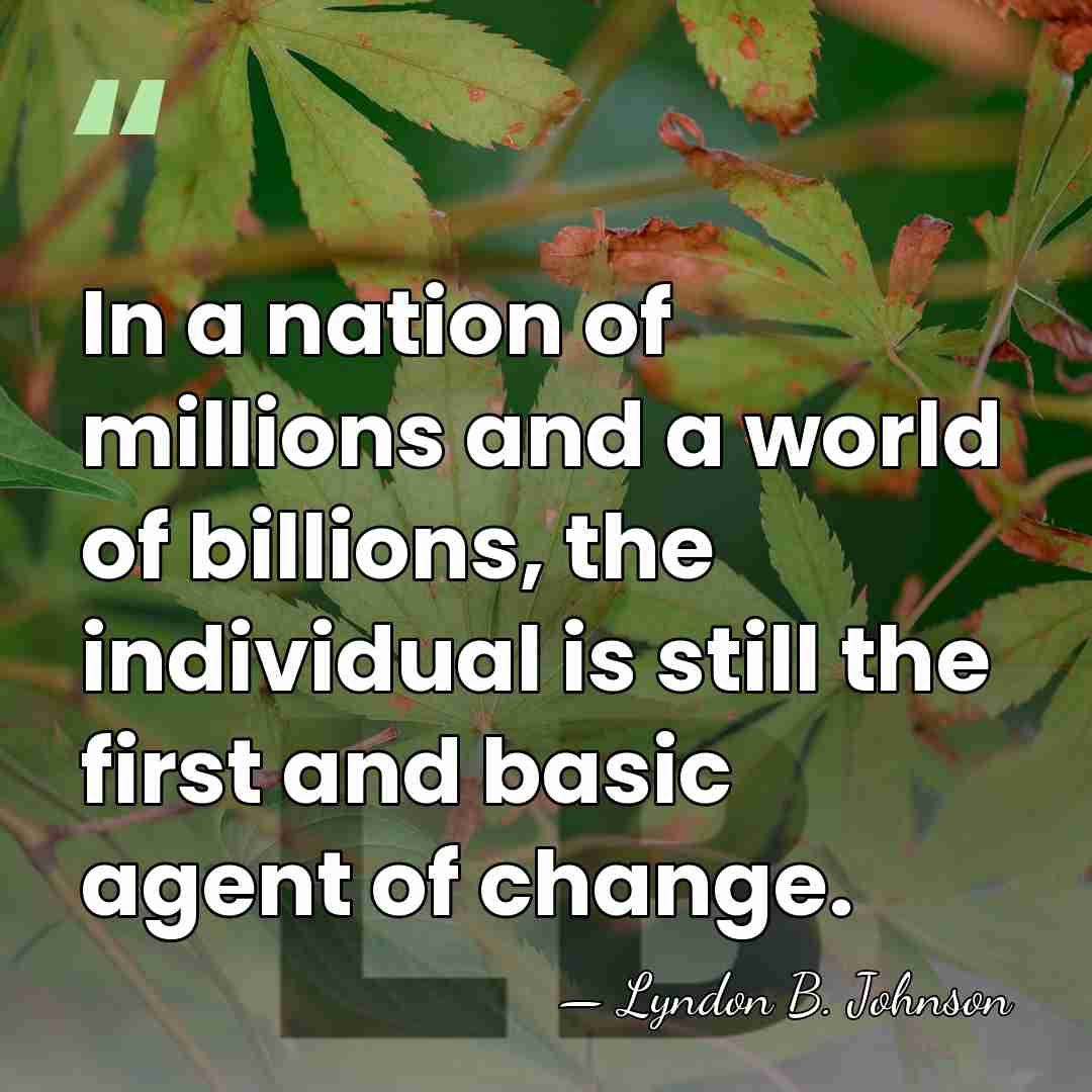 In a nation of millions and a world of billions, the individual&hellip; - Lyndon B. Johnson
