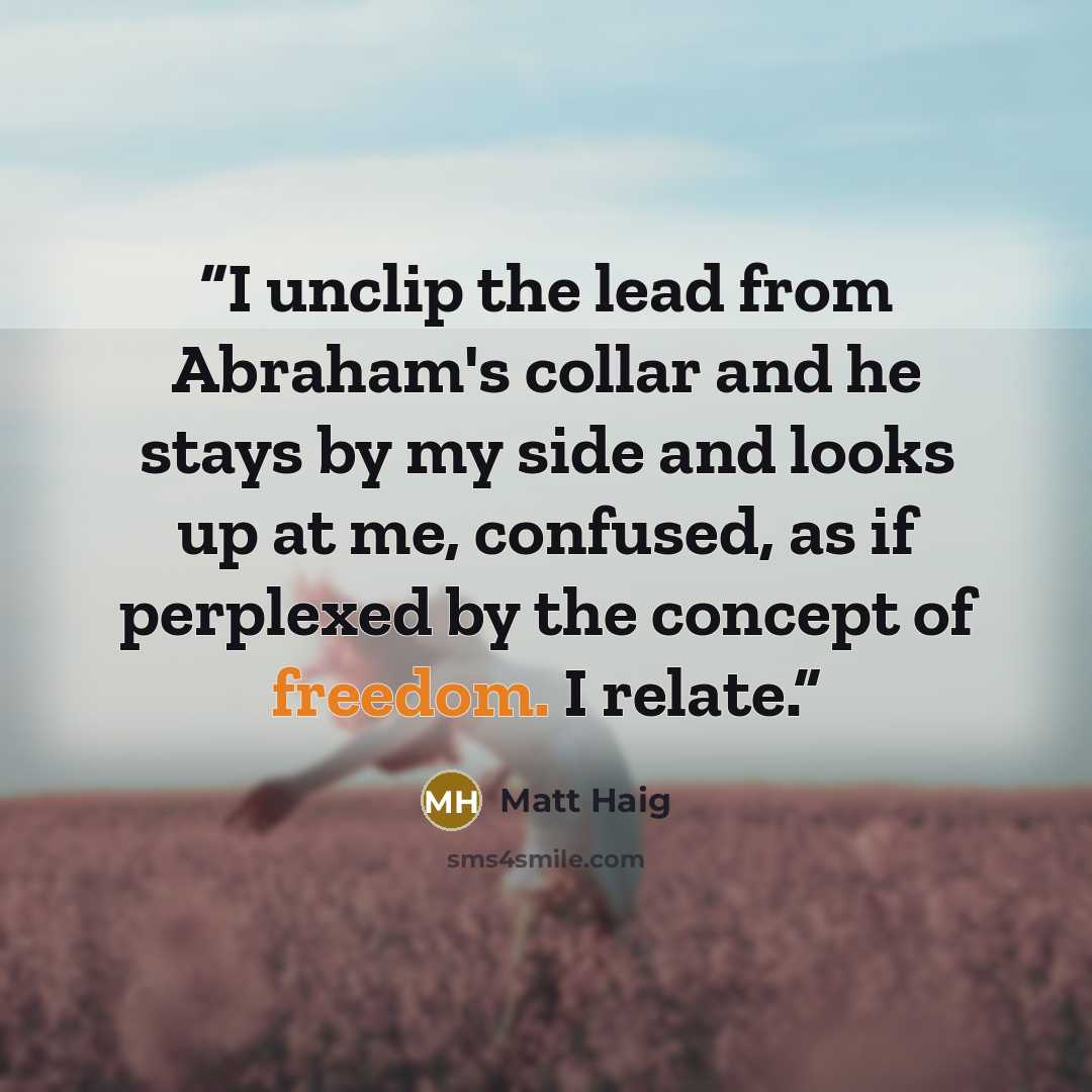 “I unclip the lead from Abraham's collar and he stays by my side and looks up at me, confused, as if perplexed by the concept of freedom. I relate.” quote by Matt Haig