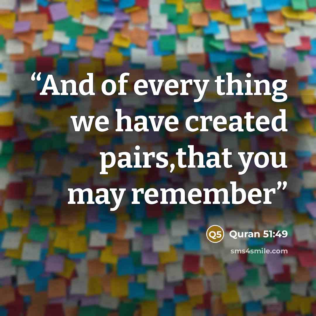 “And of every thing we have created pairs,that you may remember” quote by Quran 51:49