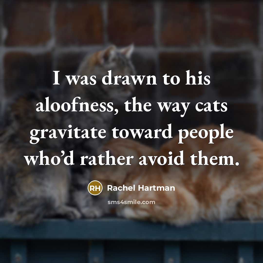 “I was drawn to his aloofness, the way cats gravitate…” quote by Rachel Hartman