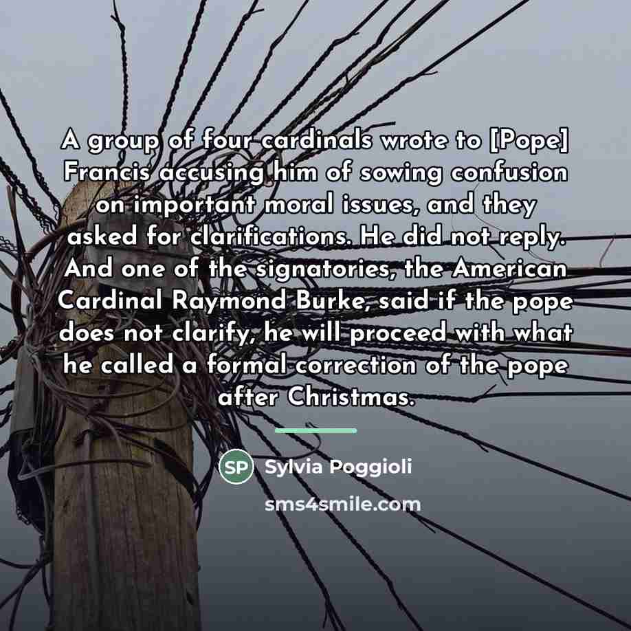 “A group of four cardinals wrote to [Pope] Francis accusing…” quote by Sylvia Poggioli