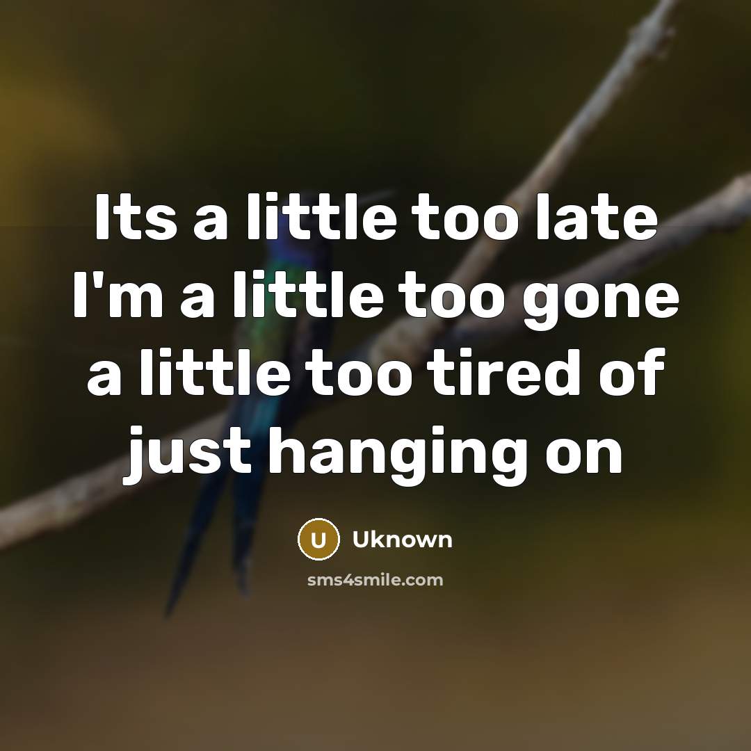 “Its a little too late I'm a little too gone a little too tired of just hanging on” quote by Uknown