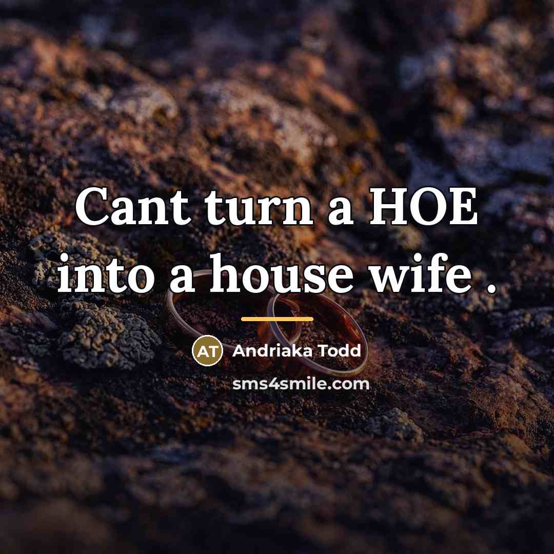 “Cant turn a HOE into a house wife .…” quote by Andriaka Todd
