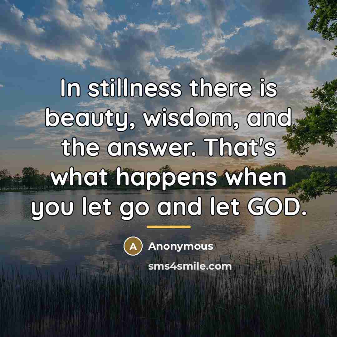 “In stillness there is beauty, wisdom, and the answer. That's…” quote by Anonymous