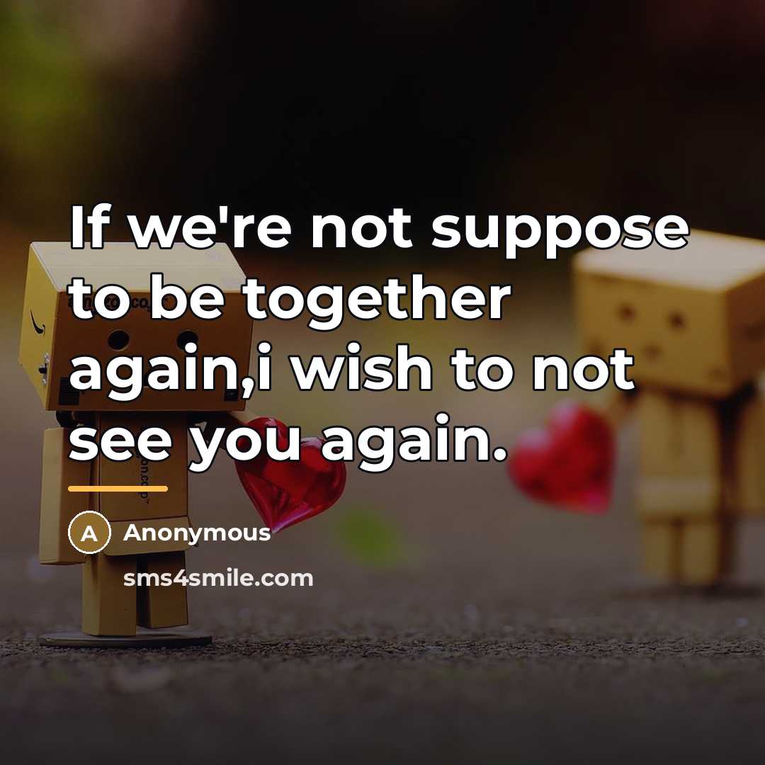 “If we're not suppose to be together again,i wish to…” quote by Anonymous