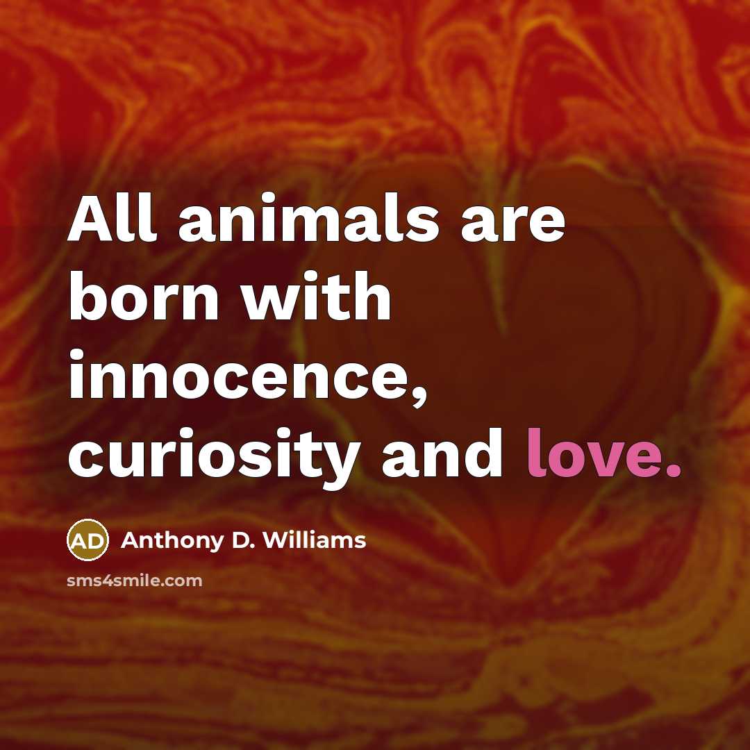 “All animals are born with innocence, curiosity and love.…” quote by Anthony D. Williams