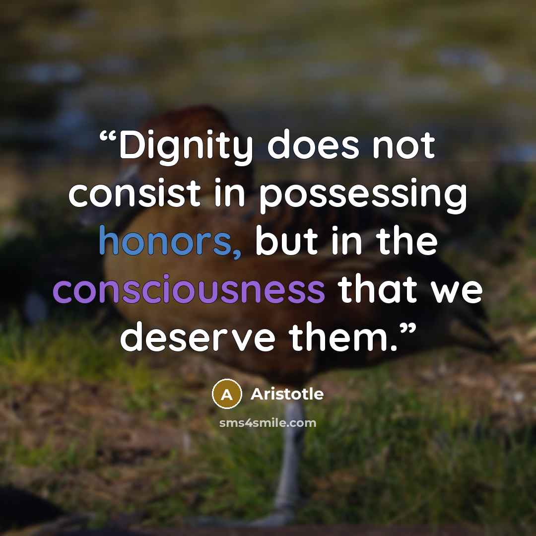 “Dignity does not consist in possessing honors, but in the consciousness that we deserve them.” quote by Aristotle