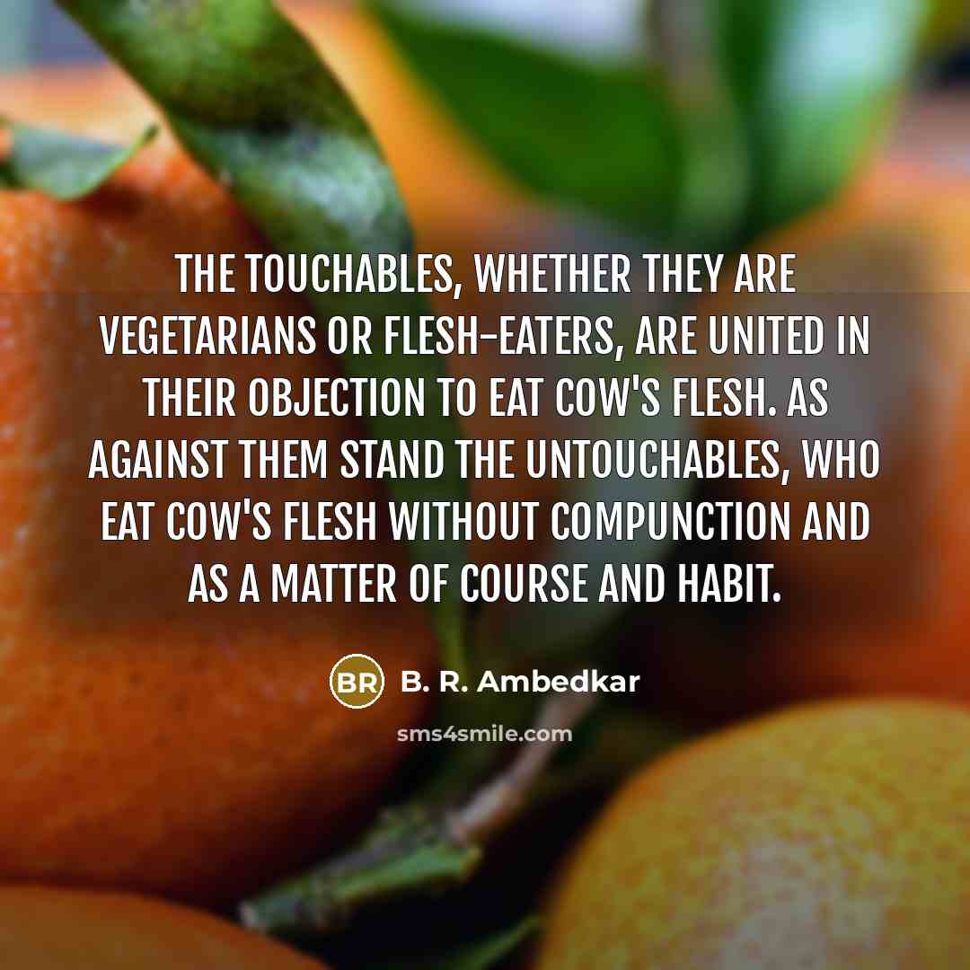 “The Touchables, whether they are vegetarians or flesh-eaters, are united…” quote by B. R. Ambedkar