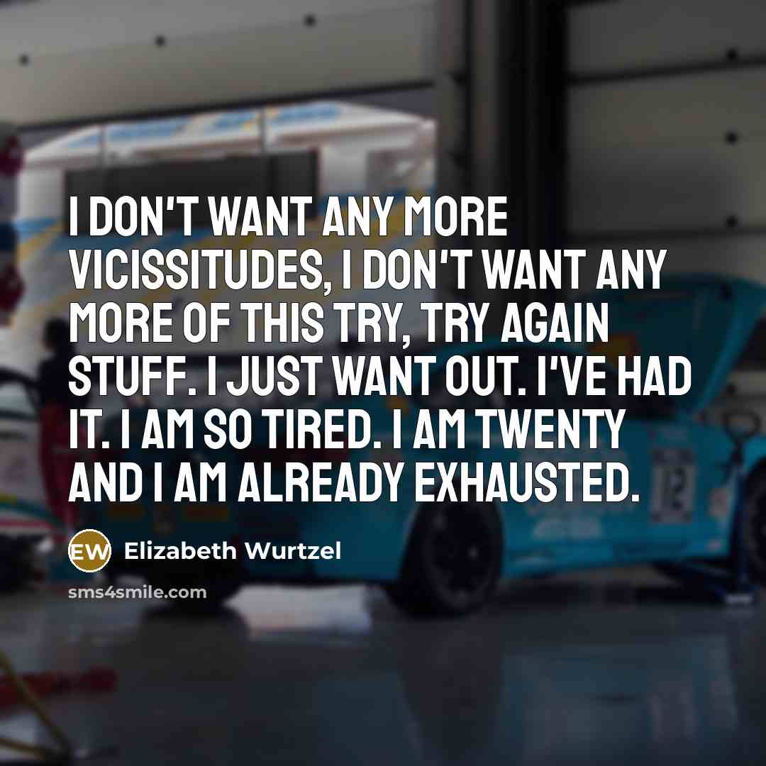 “I don't want any more vicissitudes, I don't want any…” quote by Elizabeth Wurtzel