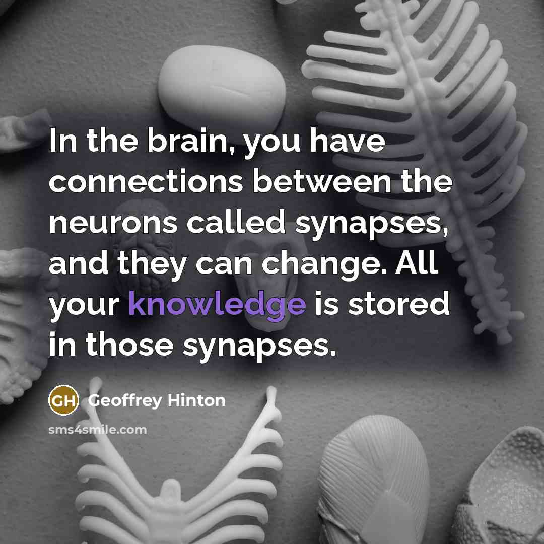 “In the brain, you have connections between the neurons called…” quote by Geoffrey Hinton