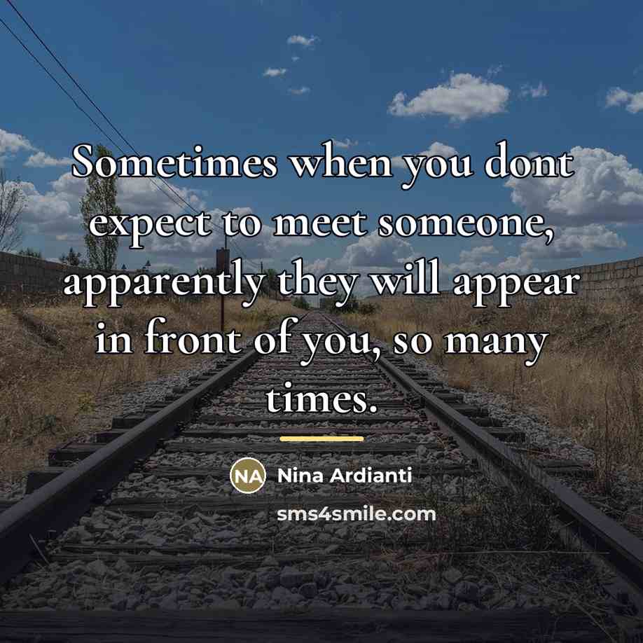 “Sometimes when you dont expect to meet someone, apparently they…” quote by Nina Ardianti