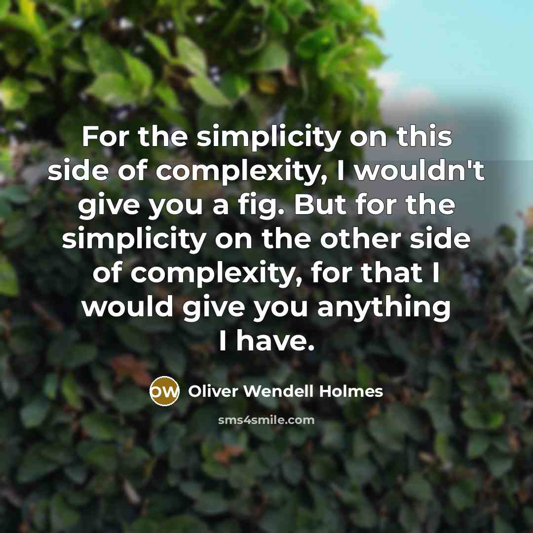“For the simplicity on this side of complexity, I wouldn't…” quote by Oliver Wendell Holmes