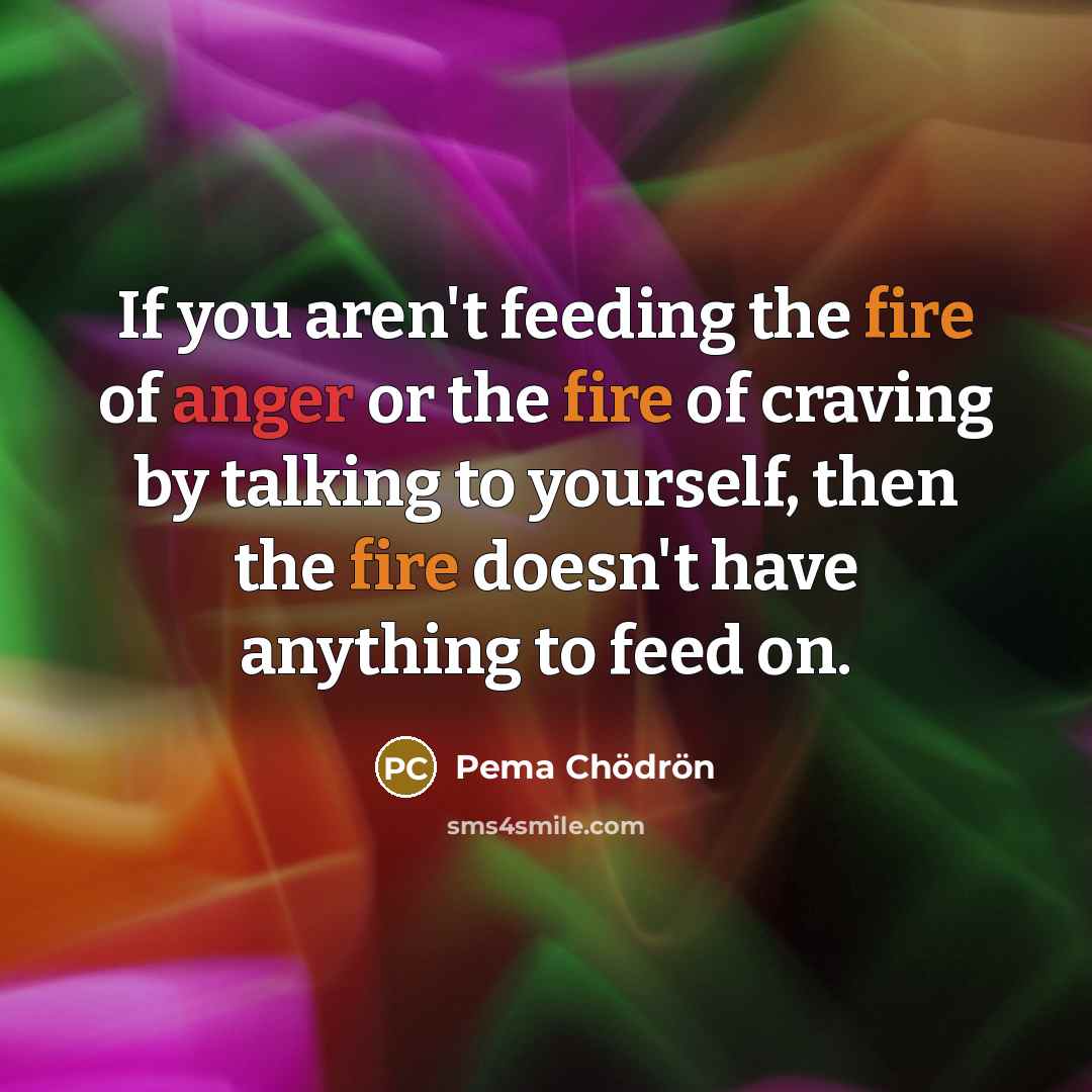 “If you aren't feeding the fire of anger or the…” quote by Pema Chodron