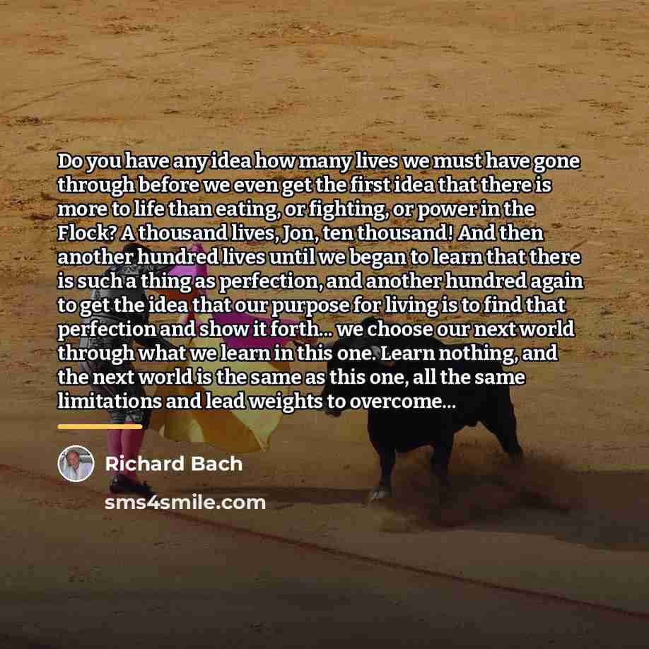 “Do you have any idea how many lives we must…” quote by Richard Bach